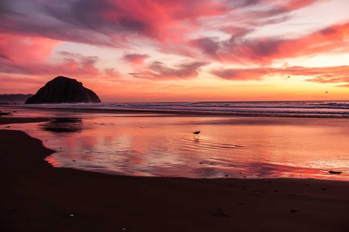 Sed ut veniam atque voluptas ut omnis sit quas laboriosam ipsum similique